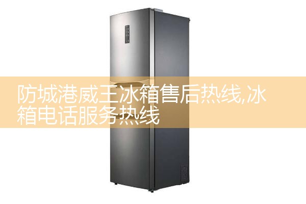 巴音郭楞蒙古自治州上菱冰箱维修中心