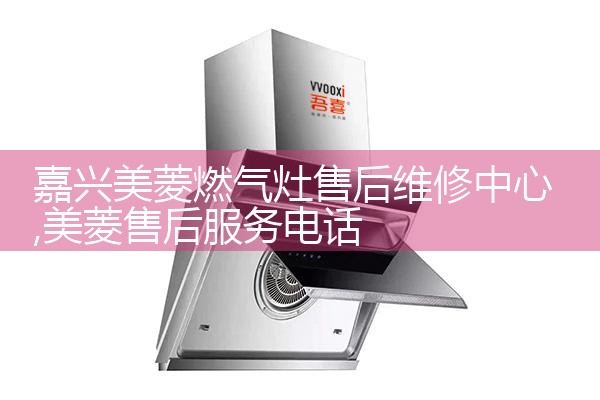 百色领派集成灶售后维修中心