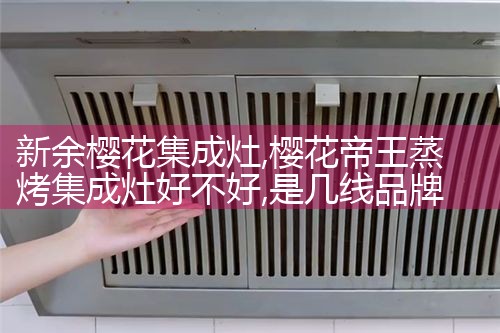巴彦淖尔京芙田集成灶
