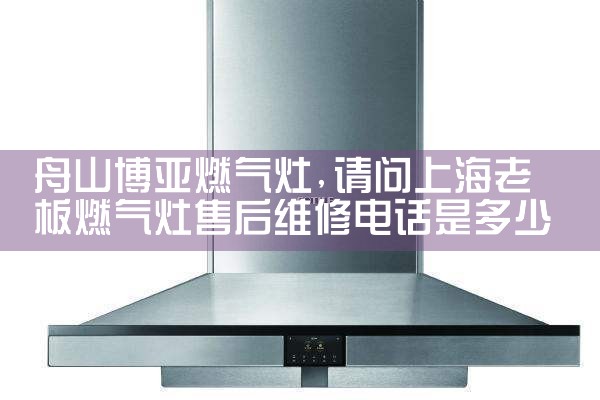 西双版纳傣族自治州ELBA燃气灶售后维修中心