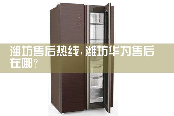 西双版纳傣族自治州维修中心