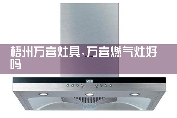 淄博厨师燃气灶