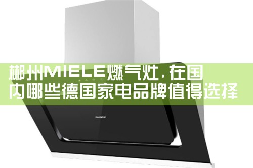 遂宁厨品乐集成灶售后维修中心