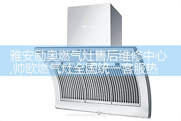 雅安励奥燃气灶售后维修中心