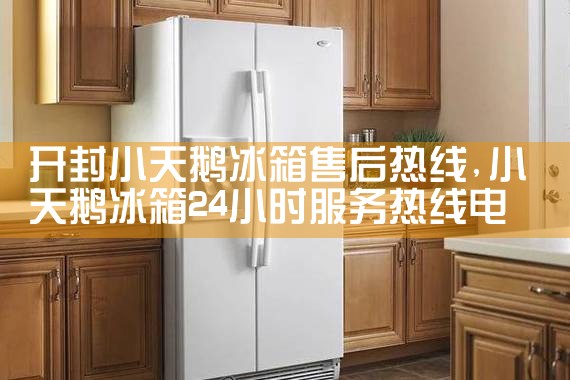 ����С�������ۺ�����