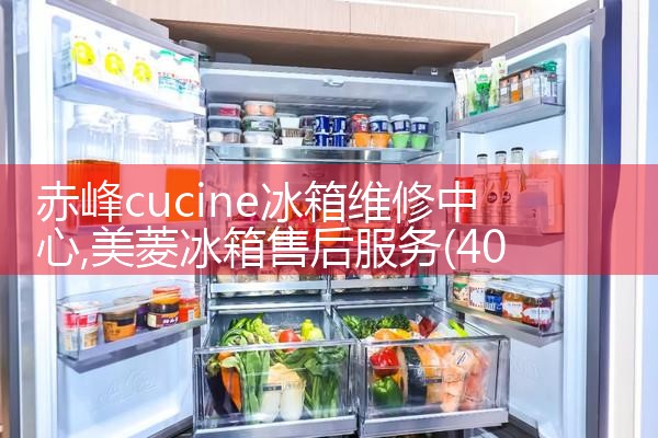 白山德诺冰箱维修中心
