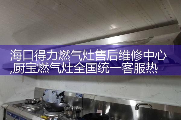 海口得力燃气灶售后维修中心