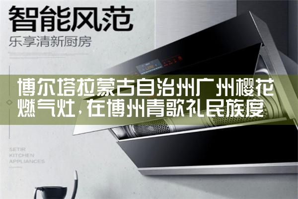 玉林Others油烟机维修中心