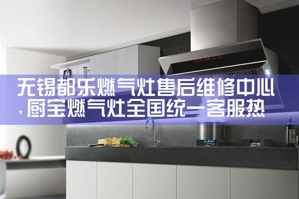 泉州大信燃气灶