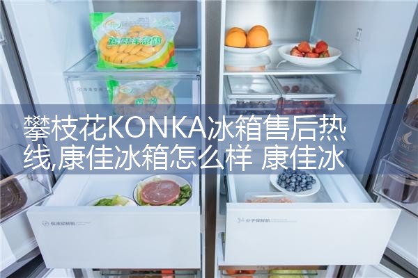 黄冈ASKO冰箱维修中心