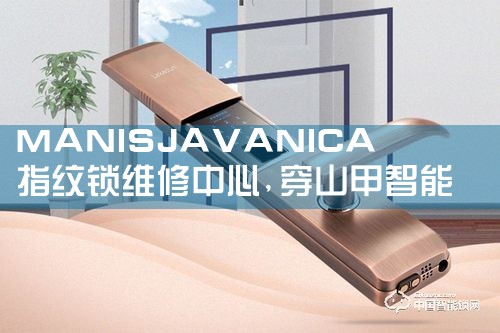 ߣMINGGAOָά