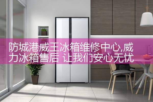 防城港威王冰箱维修中心