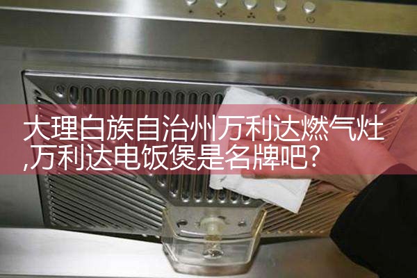 鞍山华伦帝煤气灶售后维修中心