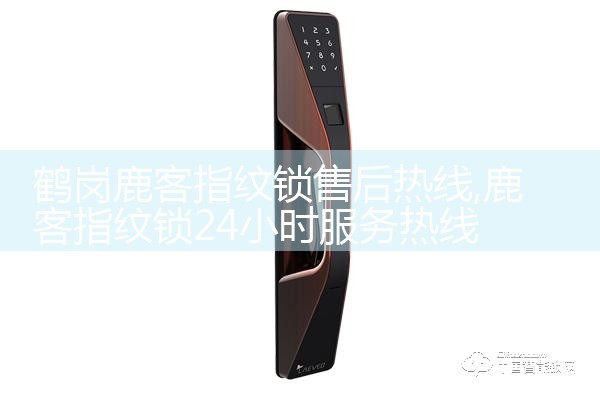 蚌埠DRESEN智能锁维修中心