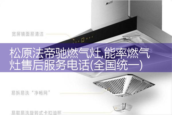 成都RIYE燃气灶