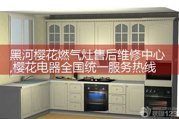 儋州比德斯燃气灶