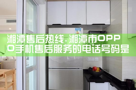 驻马店维修中心