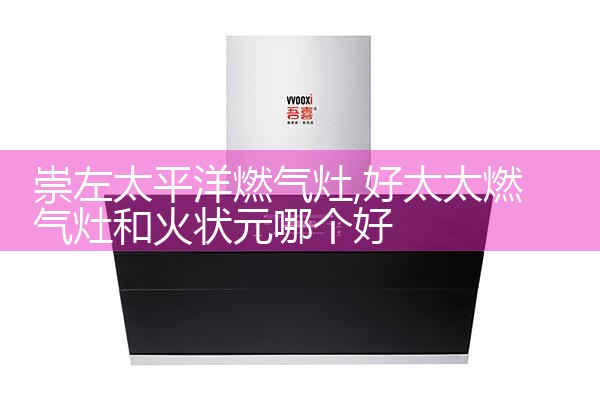 崇左太平洋燃气灶