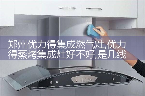 郑州优力得集成燃气灶