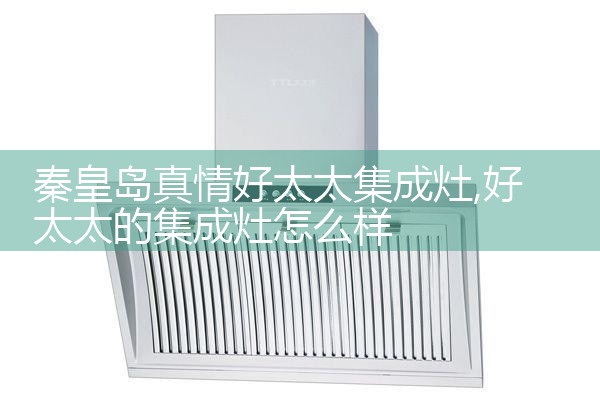 秦皇岛真情好太太集成灶