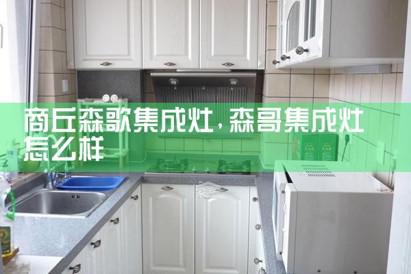 白山莱普帝斯油烟机维修中心