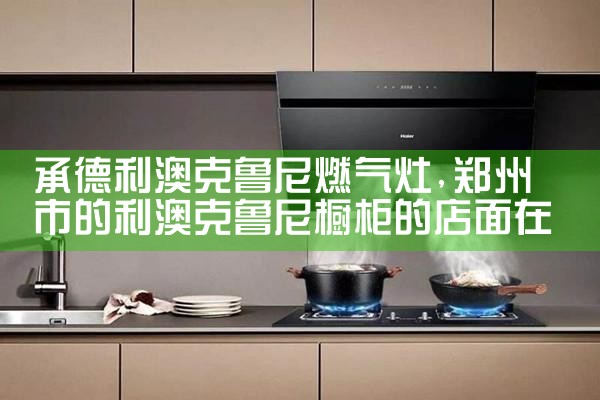 白城帝斯曼集成燃气灶