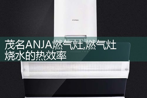云浮Nobilia油烟机维修中心