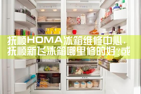 抚顺HOMA冰箱维修中心