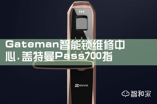 罗曼斯(Romance)指纹锁售后热线