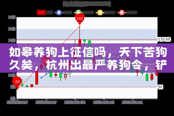 ���������������|������|ծ������