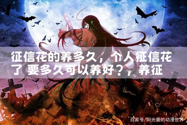 ���Ż��������|������|ծ������