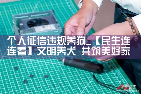 ��������Υ������|������|ծ������