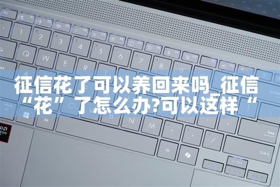 ���Ż�����������|������|ծ������