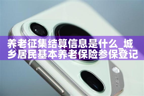 养老征集结算信息是什么|养征信|债务重组