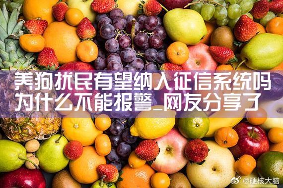 养狗扰民有望纳入征信系统吗为什么不能报警|养征信|债务重组