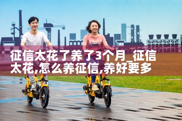 征信太花了养了3个月|养征信|债务重组
