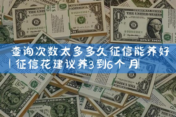 查询次数太多多久征信能养好|养征信|债务重组