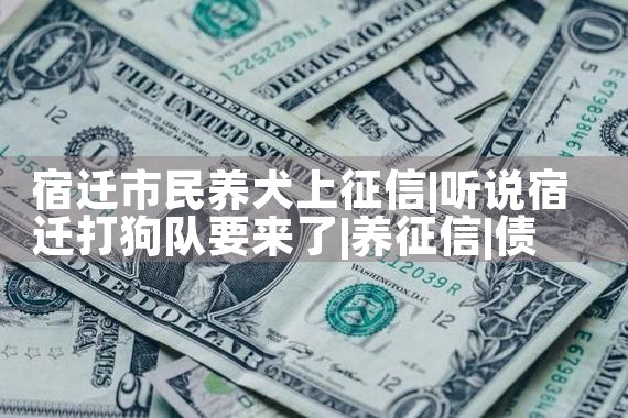 宿迁市民养犬上征信|养征信|债务重组