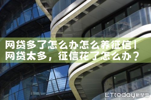 网贷多了怎么办怎么养征信|养征信|债务重组