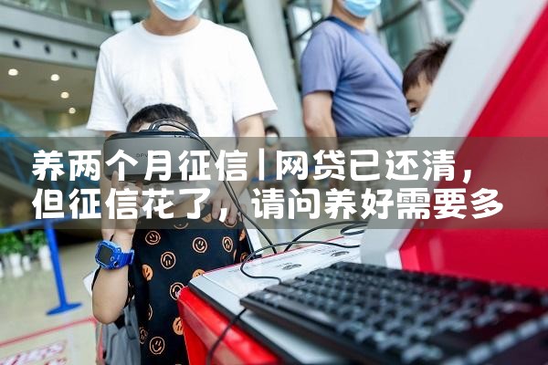 养两个月征信|养征信|债务重组