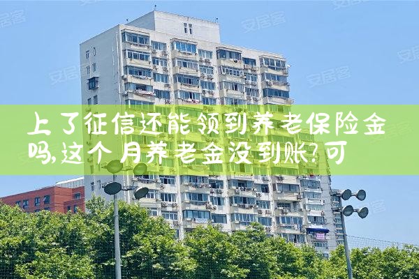 上了征信还能领到养老保险金吗|养征信|债务重组