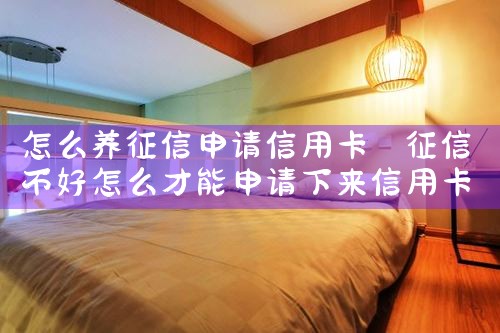 怎么养征信申请信用卡|养征信|债务重组