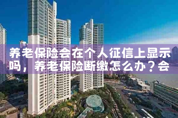 养老保险会在个人征信上显示吗|养征信|债务重组