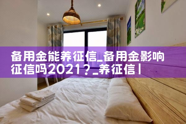 备用金能养征信|养征信|债务重组