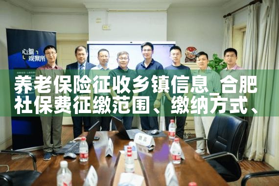 养老保险征收乡镇信息|养征信|债务重组