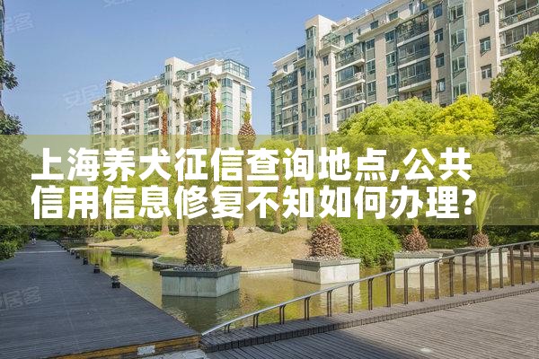 上海养犬征信查询地点|养征信|债务重组