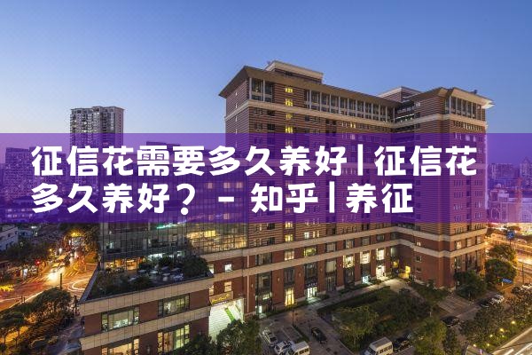 ���Ż���Ҫ�������|������|ծ������