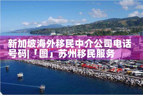 新加坡海外移民中介公司电话号码|上海移民机构