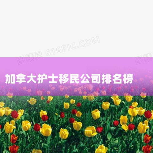 Ԫµ,Ͷձľʱ.ͬʱҲвͶ˷ƾձѯ,硰˲ձձķ𡱡õǩ֤...,ձ|ձͶ