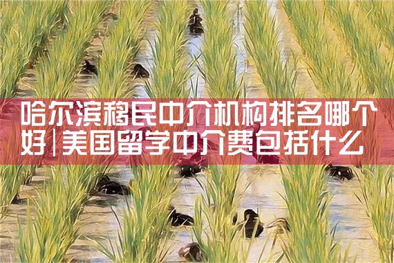 芬兰永居去日本|日本移民,日本投资移民